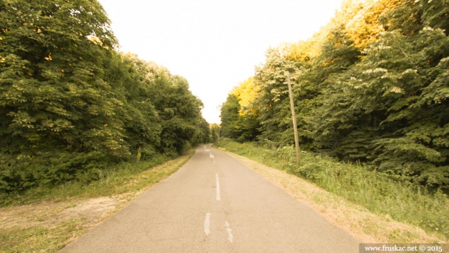 Cesta vrhom Fruške gore