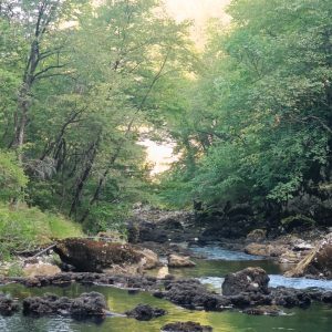 Izvor Une, Donja Suvaja