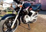YAMAHA YBR 250