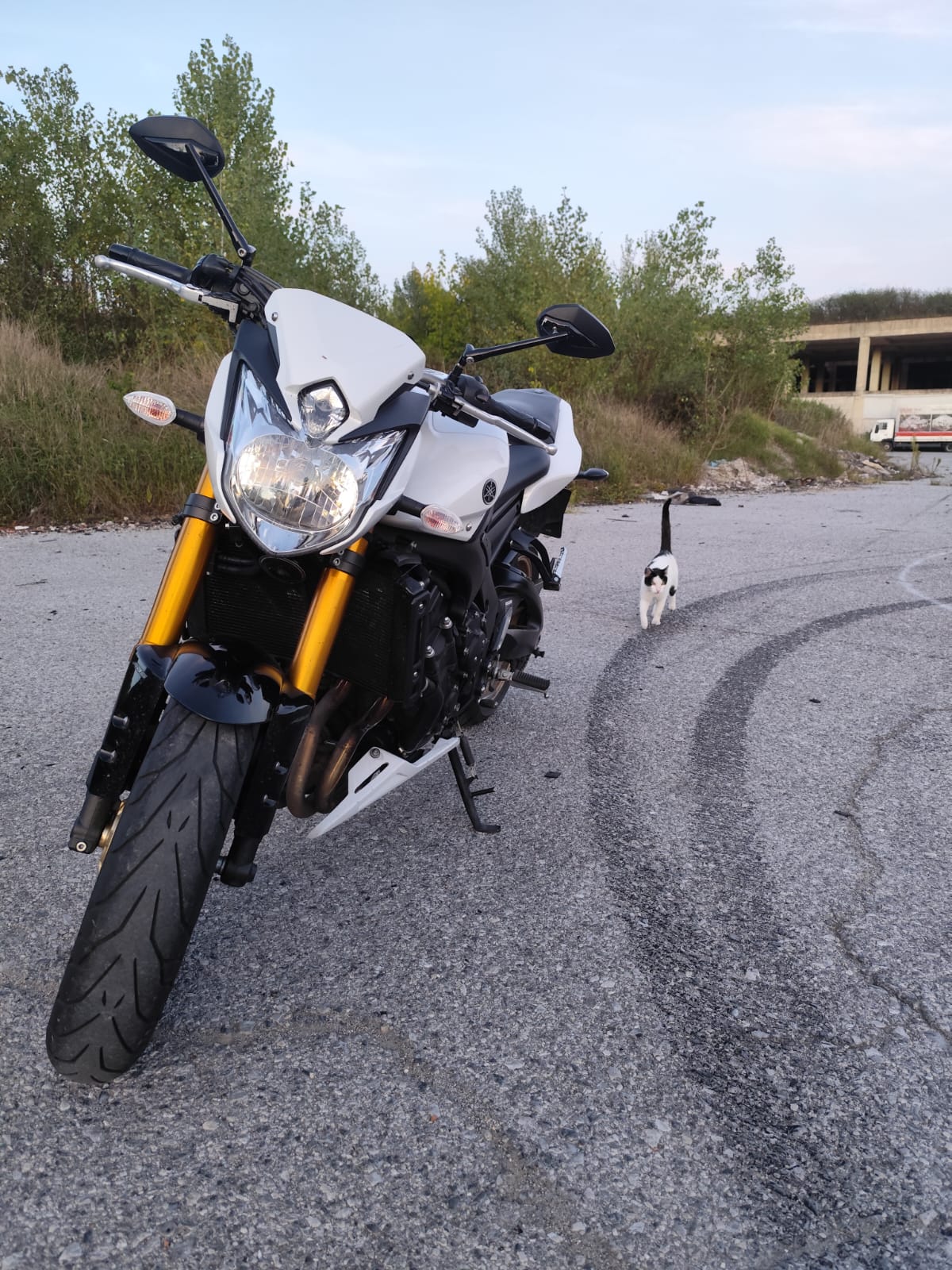 Yamaha Fz8 (N) 2011
