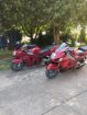 Suzuki Hayabusa GSX1300R