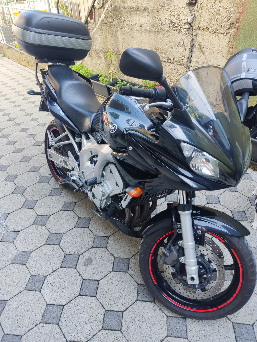 Yamaha Fazer 600, 2008 g.