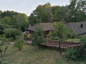 241804708 1549255248762198 1074322650505131648 n