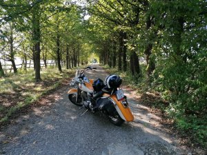 243780944 1562306260790430 6439473706484151607 n