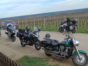 337413676 950993186035681 6736307418943319450 n